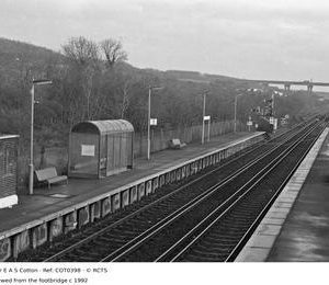 COT0398