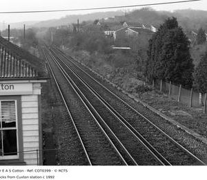 COT0399