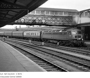 CUL3143