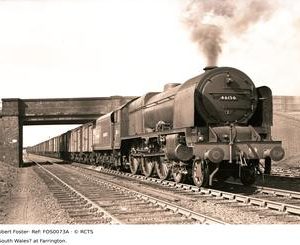FOS0073A