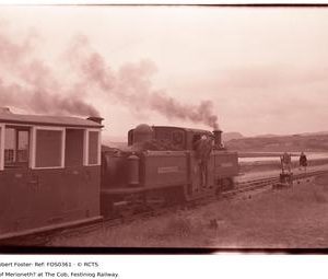 FOS0361