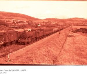 FOS0385