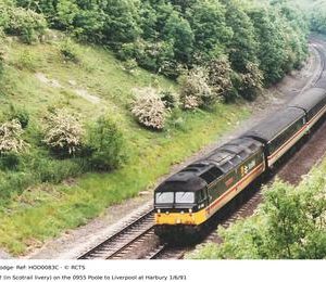 HOD0083C