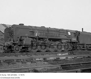 JAY1681