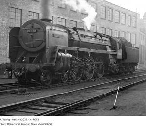 JAY3029