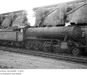 JAY3065