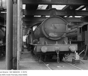 NB00239