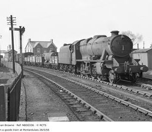 NB00336