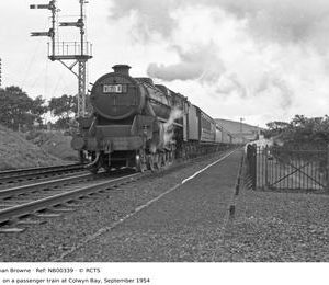 NB00339
