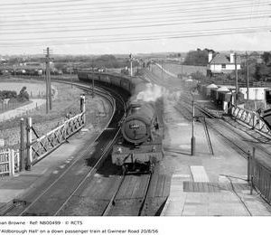 NB00499