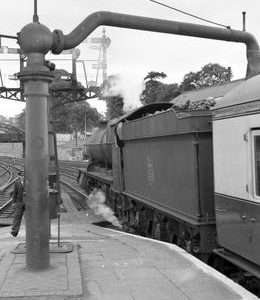 NB00818VF