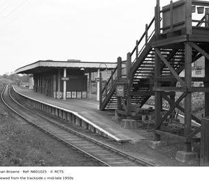 NB01025