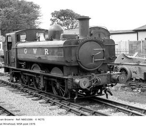 NB01086