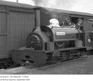 NB01106