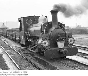 NB01109