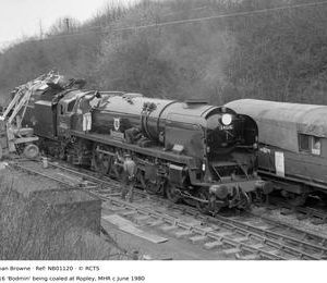 NB01120