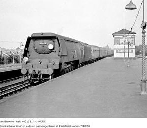 NB01131