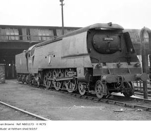 NB01173
