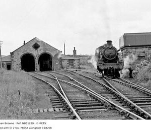 NB01229