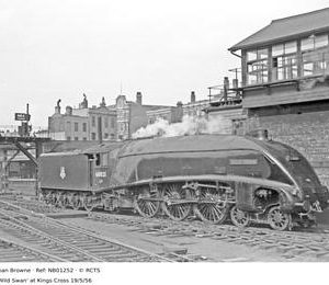 NB01252