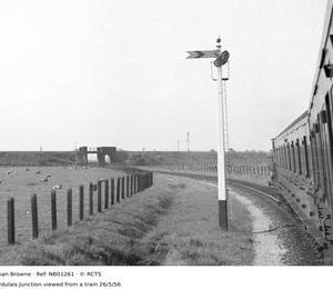 NB01261