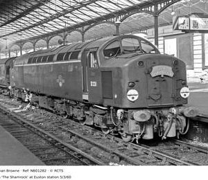 NB01282
