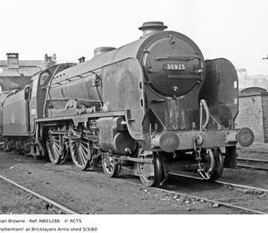 NB01286