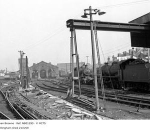 NB01293