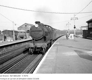 NB01294