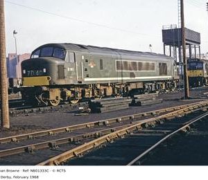 NB01333C