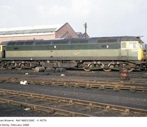 NB01338C