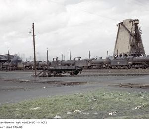 NB01345C