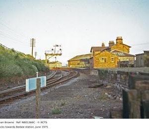 NB01366C