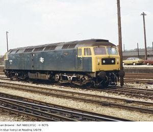 NB01371C