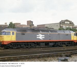 NB01373C