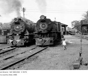 NB01408