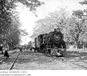 NB01429