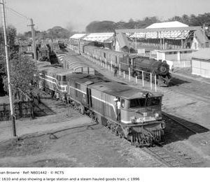NB01442