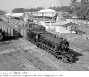 NB01443