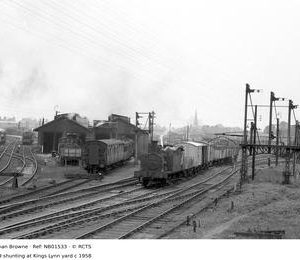 NB01533