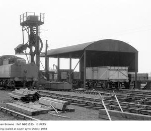 NB01535