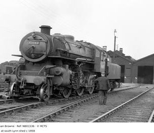 NB01536