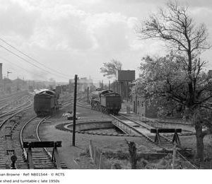 NB01544