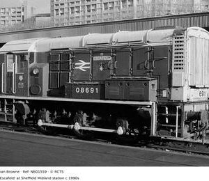 NB01559