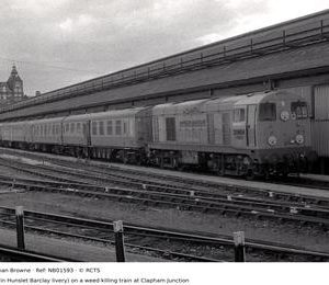 NB01593