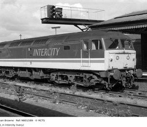 NB01599