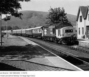 NB01600