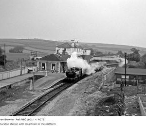 NB01601