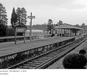 NB01610