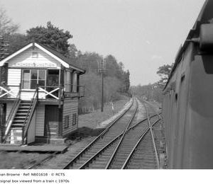 NB01618